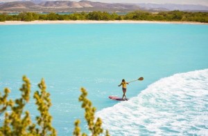 Stand Up Paddlesurfing